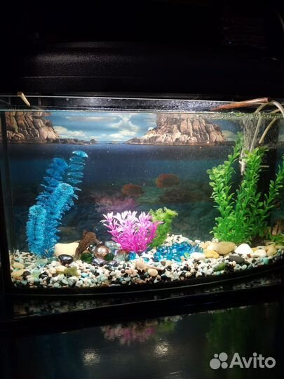 Аквариум с рыбками бу