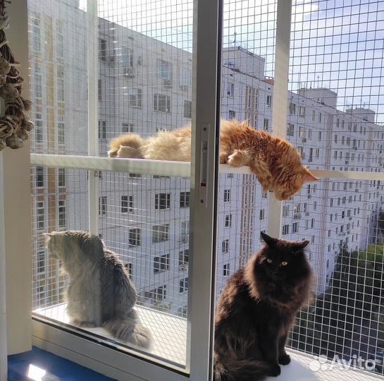 Балкон для кошек