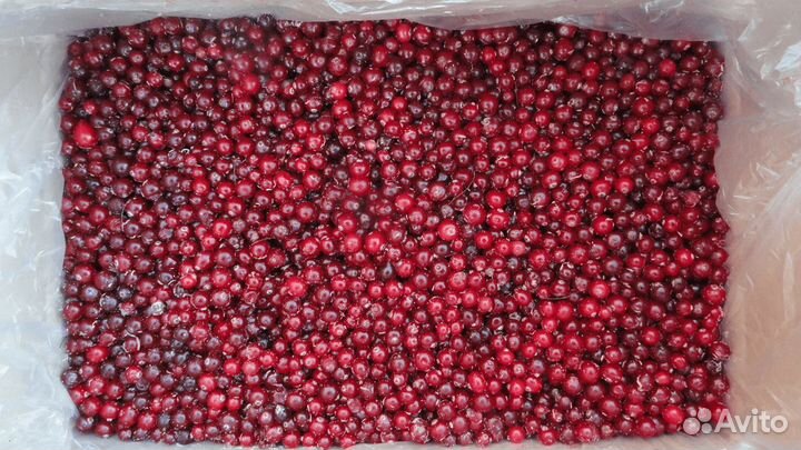 Клюква дикая 1 сорт/ замороженные ягоды