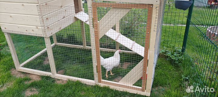 Курятник для кур