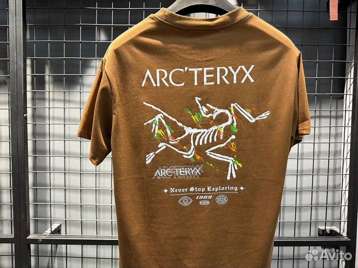 Футболка мужская arcteryx (Арт.48793)