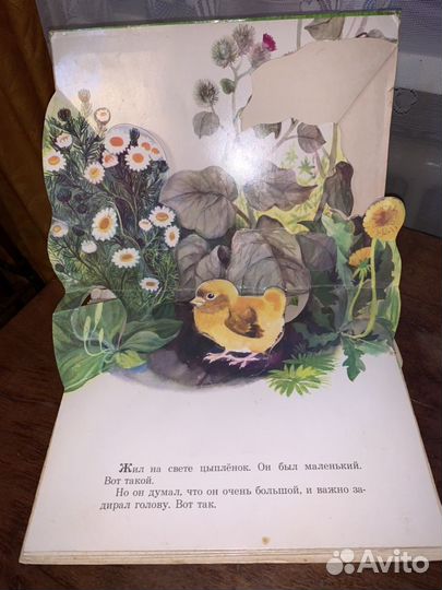 Книжка-панорамка, объёмная, Чуковский, Цыпленок