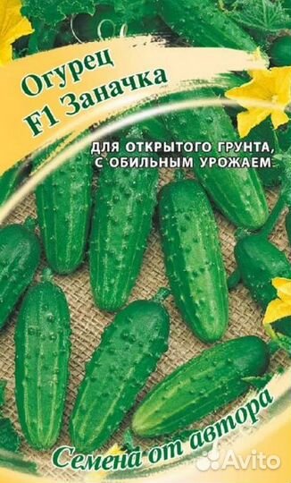 Огурцы-партенокарпики - 16 сортов по 10 семян