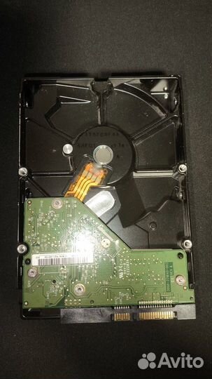 Western Digital 500 гб Внутренний жесткий диск