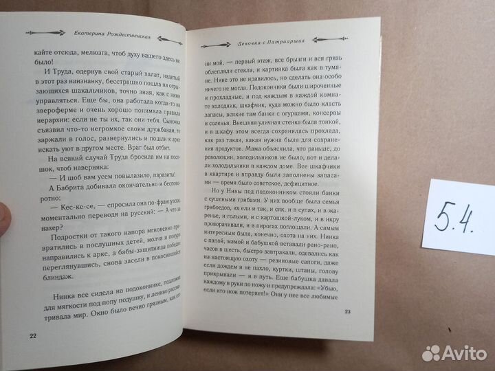 Девочка с Патриарших Рождественская Екатерина Робе