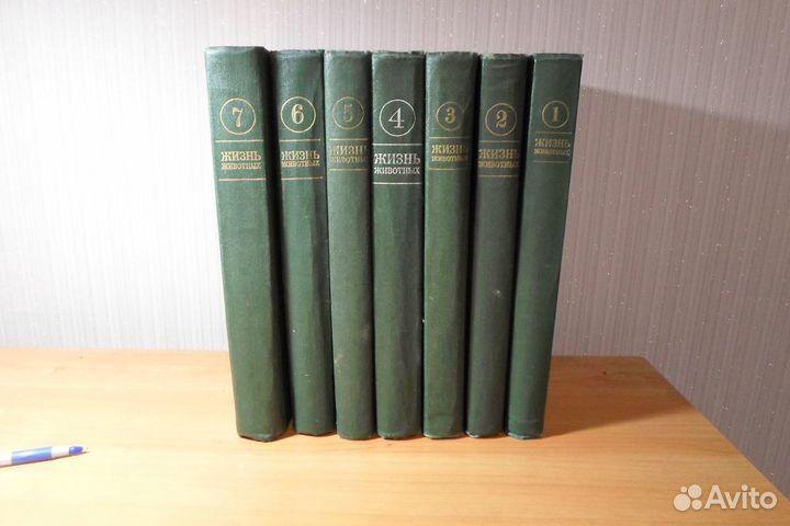 Энциклопедия 