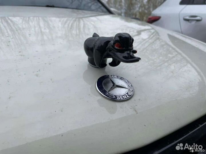 Злая утка на капот