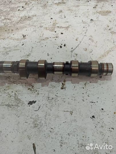 Распредвал выпускной Mercedes W140 S