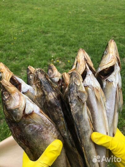 Рыбка Сушёная Судак