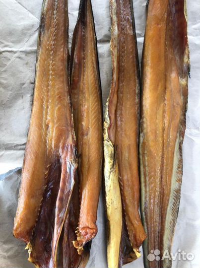Рыба