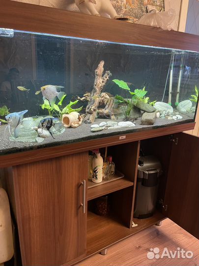 Аквариум