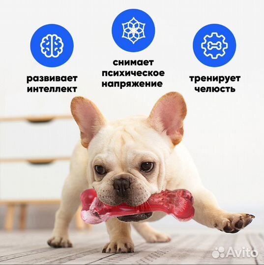 Игрушки для собак