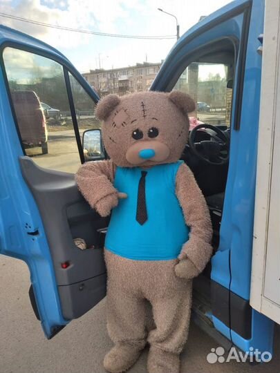 Аренда ростовой куклы Мишка Тедди