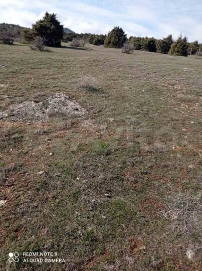 Участок 6 сот. (ИЖС)