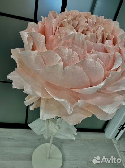 Ростовой цветок Пион интерьерный
