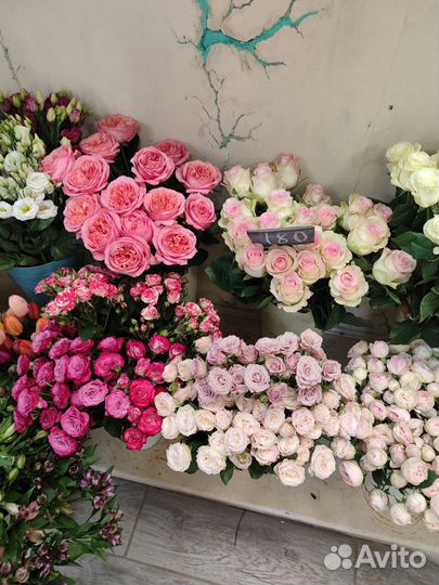 Пионовидные розы цветы букеты доставка