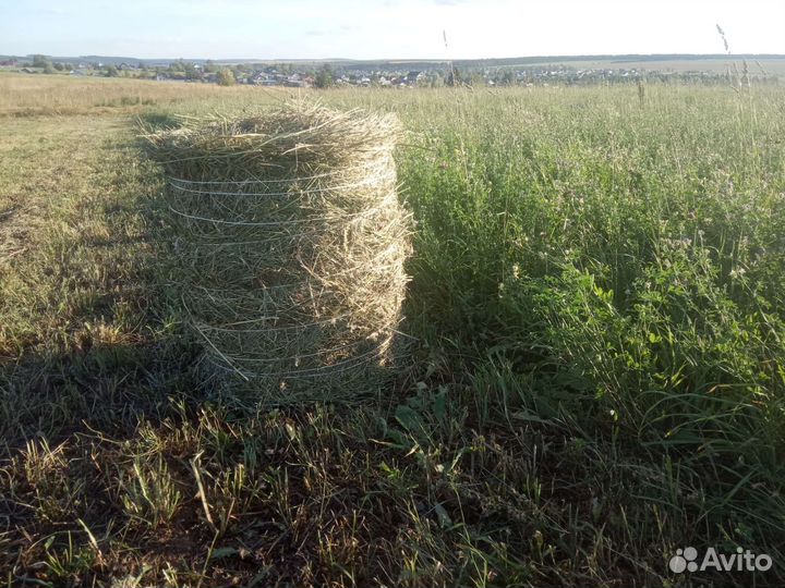 Сено Люцерна в мини рулонах.Есть доставка