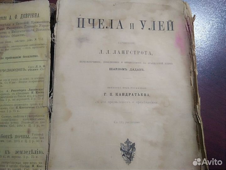 Антикварная книга пчела и улей 1892 год