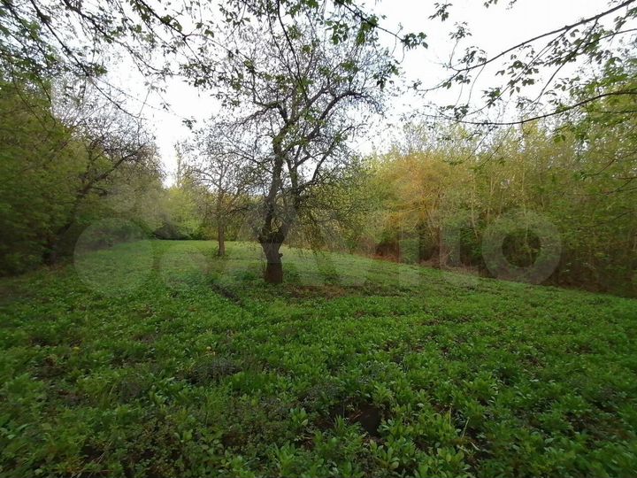 Участок 15 сот. (ИЖС)