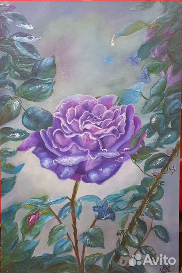 Картины (холст на картоне)