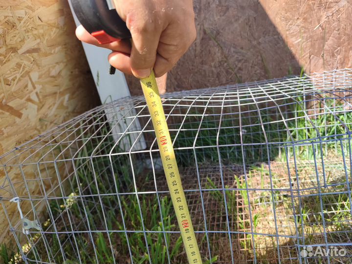 Клетки для кур бу