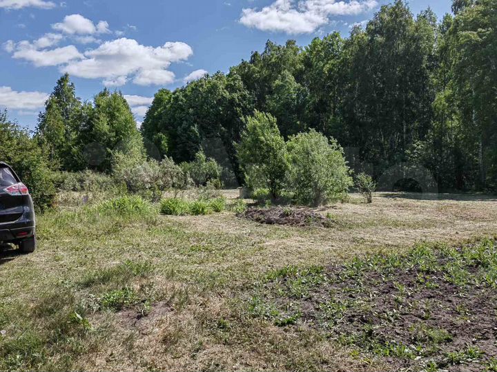 Участок 20 сот. (СНТ, ДНП)