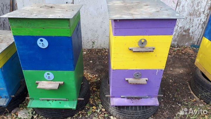 Улей 10-ти рамочный