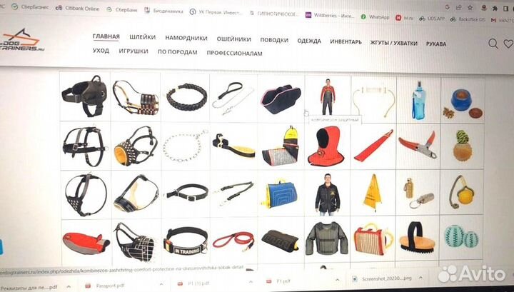 Амуниция для собак / Товары для собак