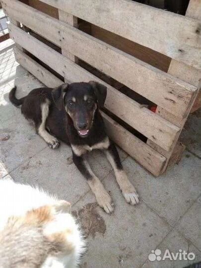 Забери меня домой