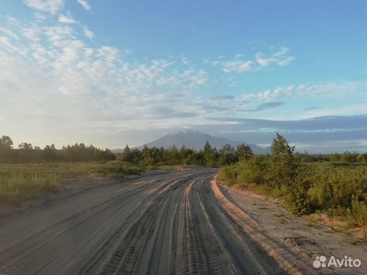 Аренда автомобилей с водителем