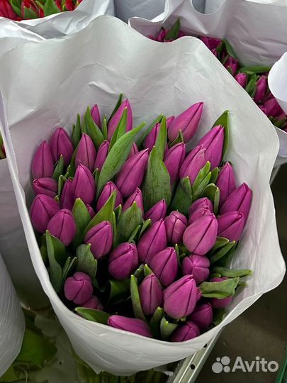 Букеты из тюльпанов к 8 марта с открыткой