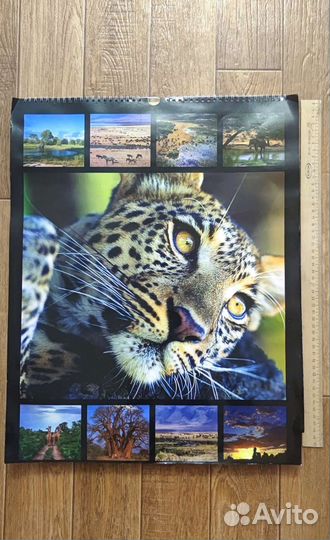 Старые календари 2008, 2018, 2019, 2021, 2022