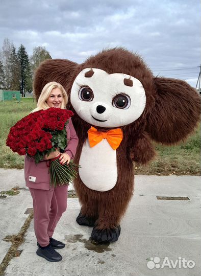 Поздравление от Ушастика