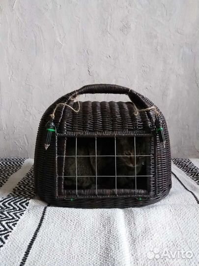 Корзина домик для котят