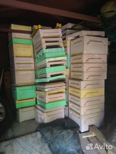 Продаю ульи Bee-box