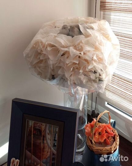 Букет для невесты. Новый