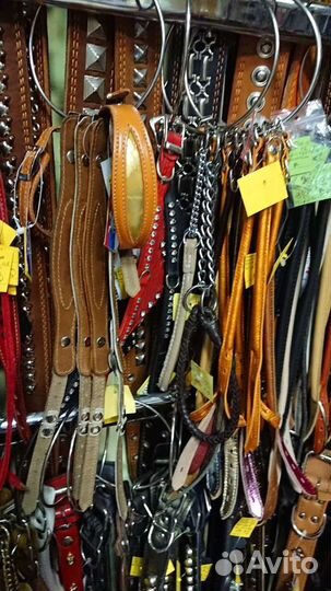 Ошейники, поводки, шлейки, ринговки