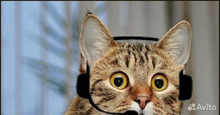 Оператор колл центра на исходящую линию