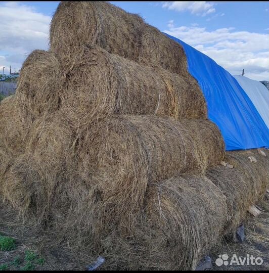 Сено и солома