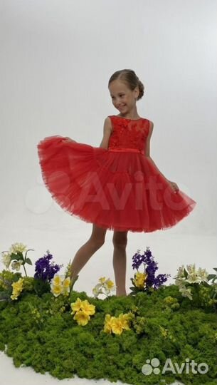 Мох стабилизированный