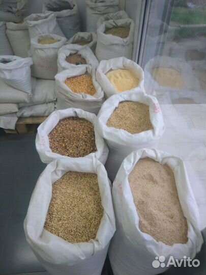 Корм для домашней живности