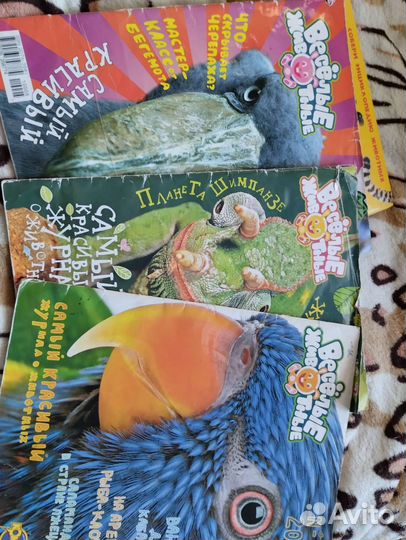 Книги по зоологии, биологии, про животных пакетом