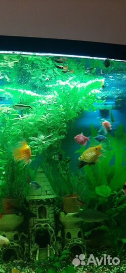 Украшение для аквариума