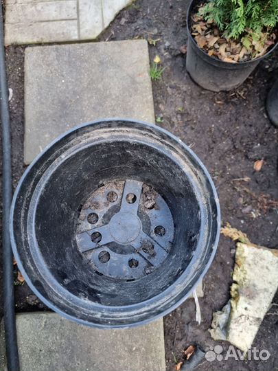 Контейнеры для растений (горшки)