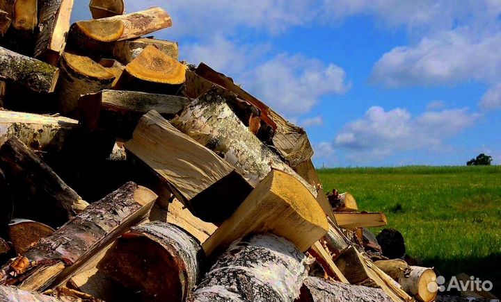 Дрова береза рубленные