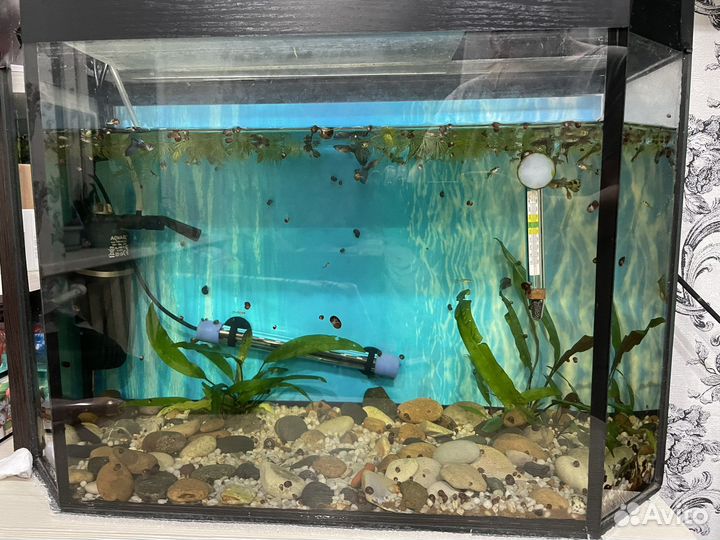 Аквариум