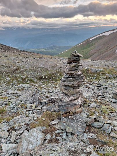 Услуги педагога психолога