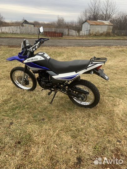 Racer Panther 250 lite