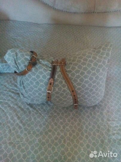 Шлейка для крупных пород собак