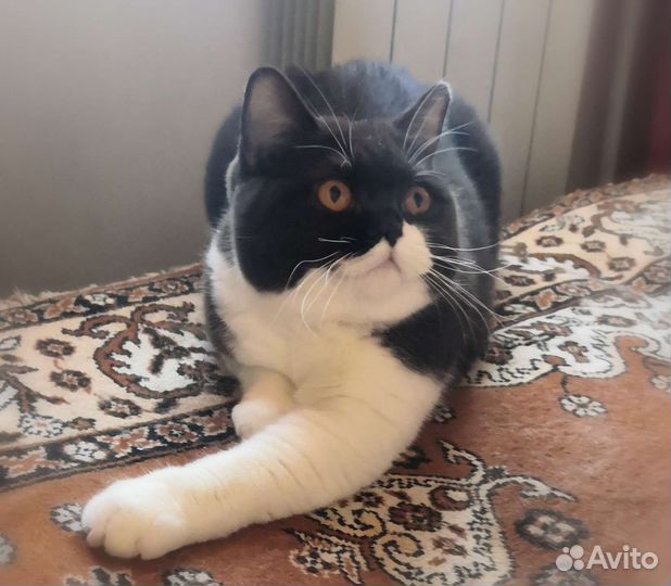 В Добрые ручки